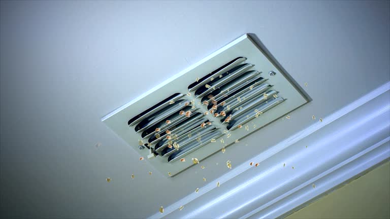 Best Affordable Duct Cleaning Services  in Anderson Creek, NC