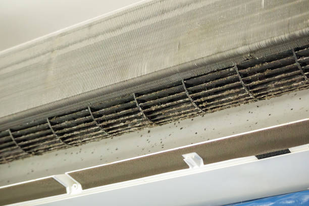 Best Professional Duct Cleaning Services  in Anderson Creek, NC